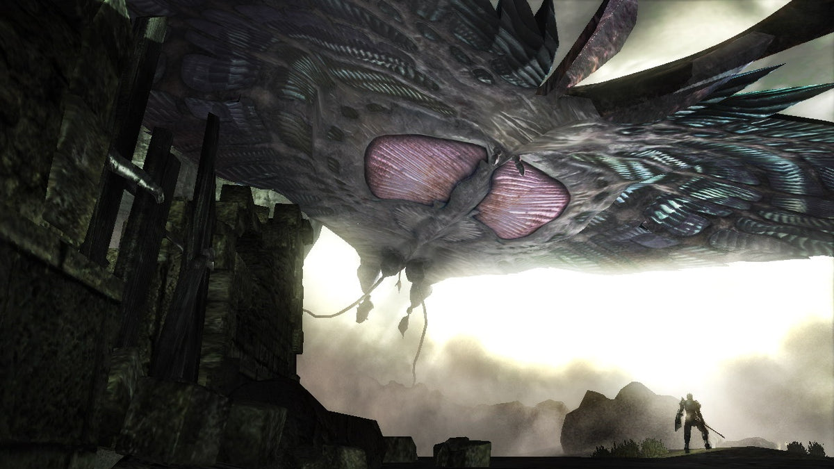 Demons Souls - Captura 4