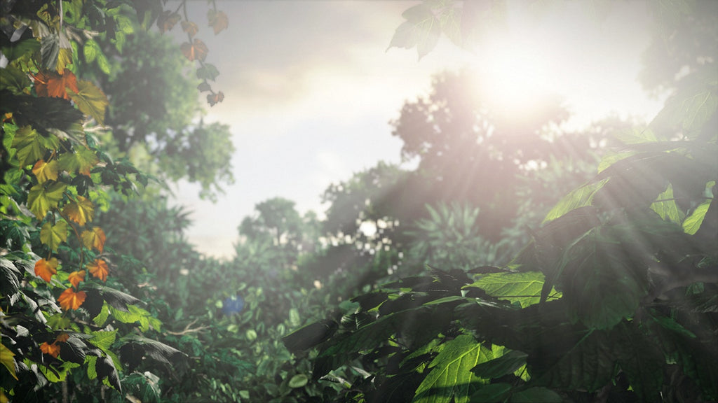The Last Of Us Remastered - Captura 2