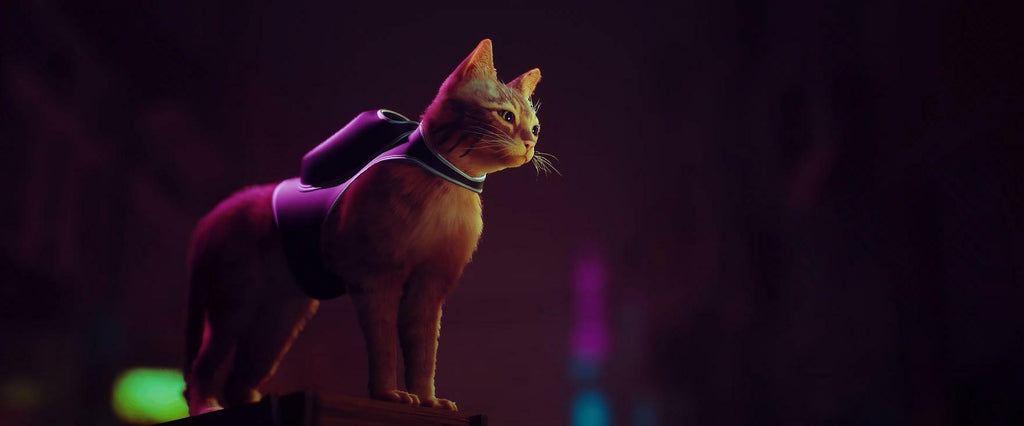 STRAY - Captura 1