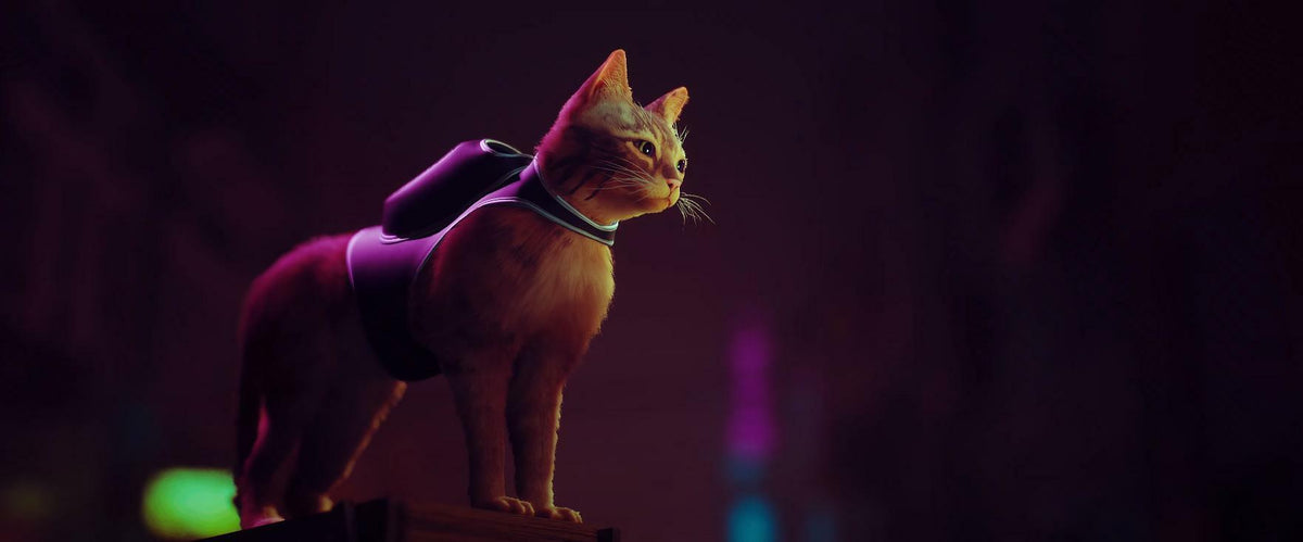 STRAY - Captura 1