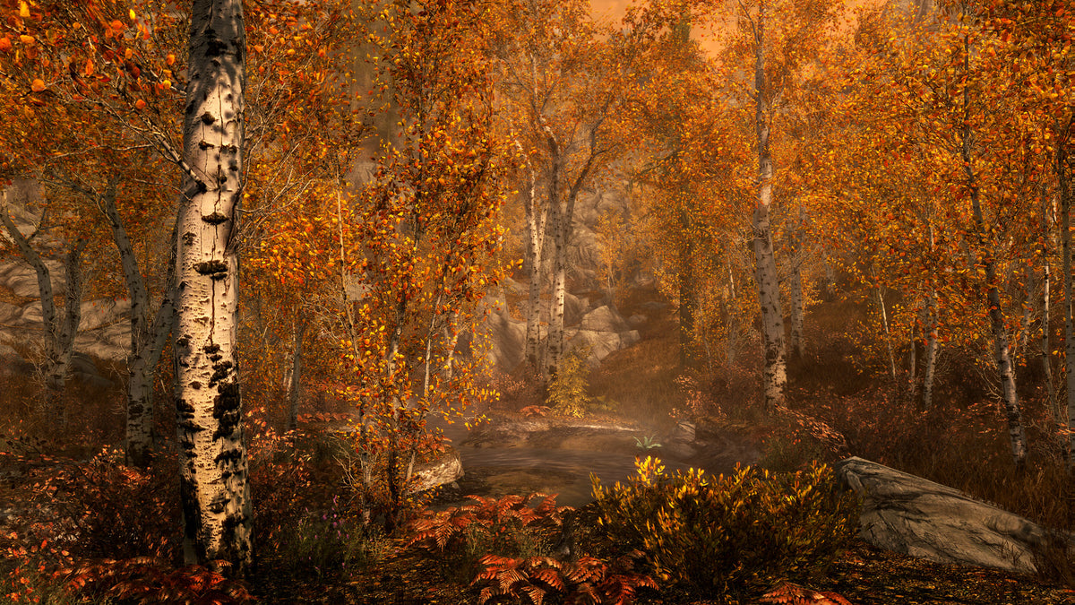 The Elder Scrolls V Skyrim Special Edition - Captura 3