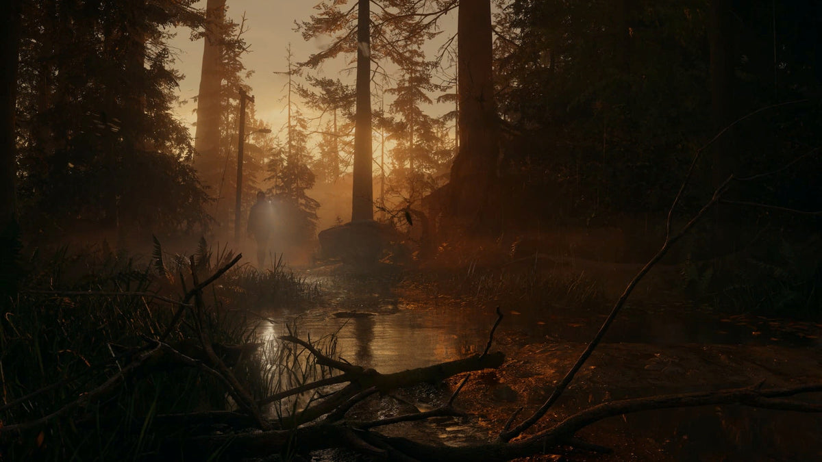 Alan Wake 2 - Captura 2
