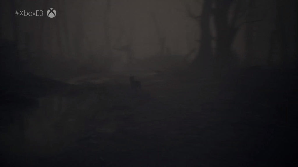 Blair Witch - Captura 3