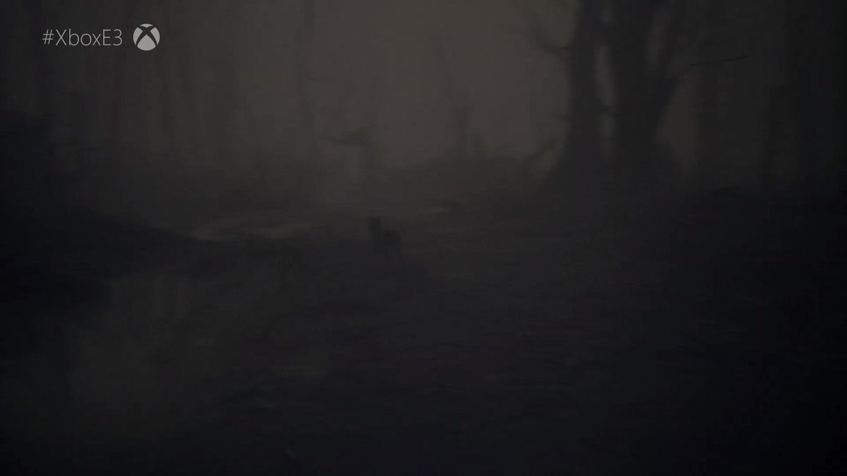Blair Witch - Captura 3